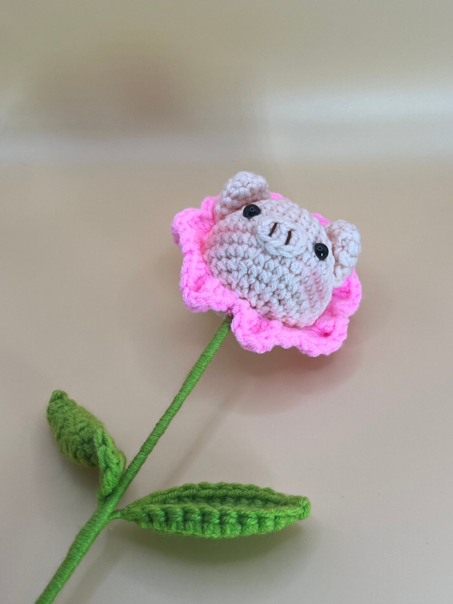 Bright Pig Sunflower