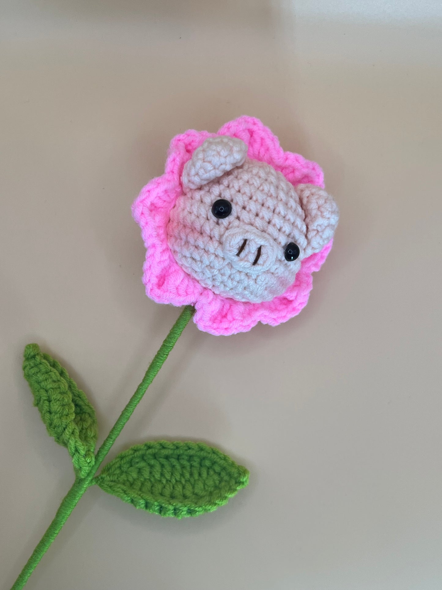 Bright Pig Sunflower