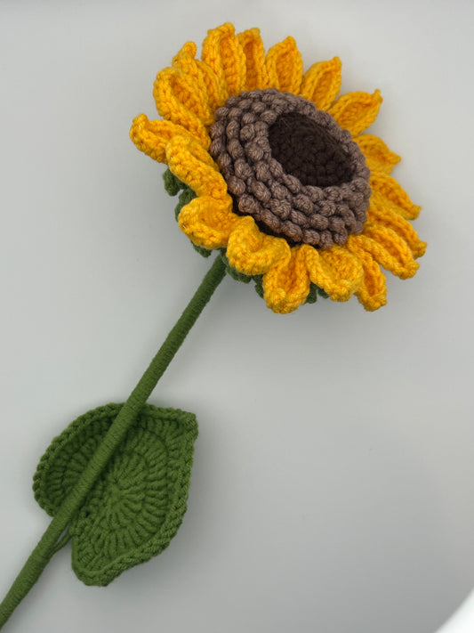 Sunflower Flower