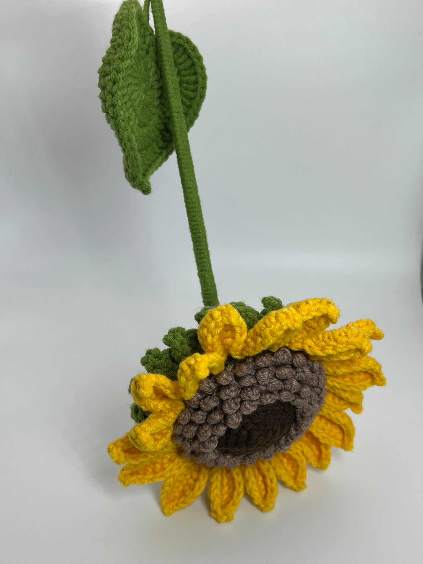 Sunflower Flower