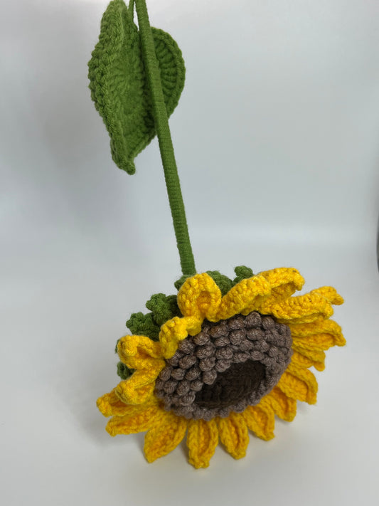 Sunflower Flower