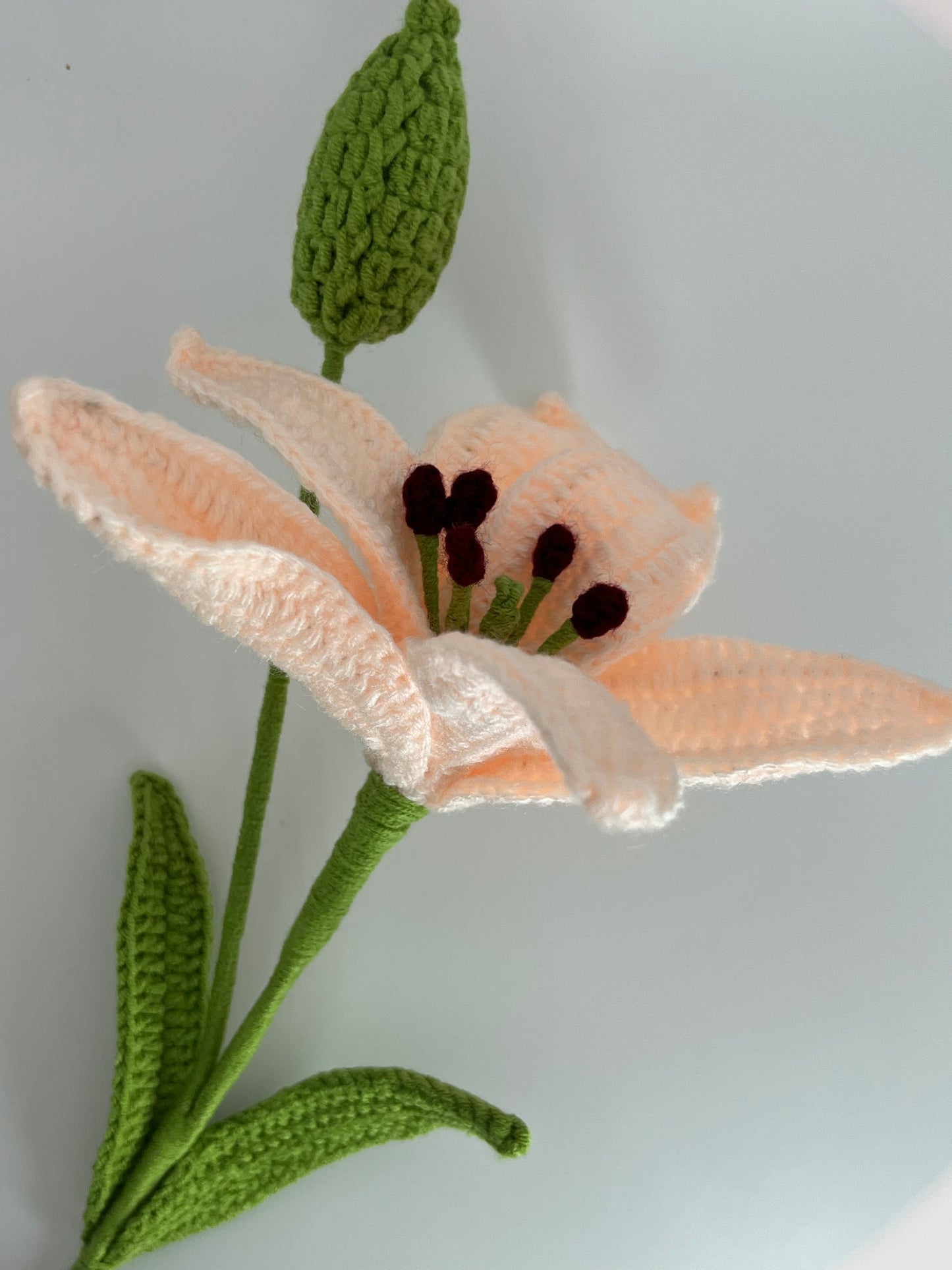 Lily Flower