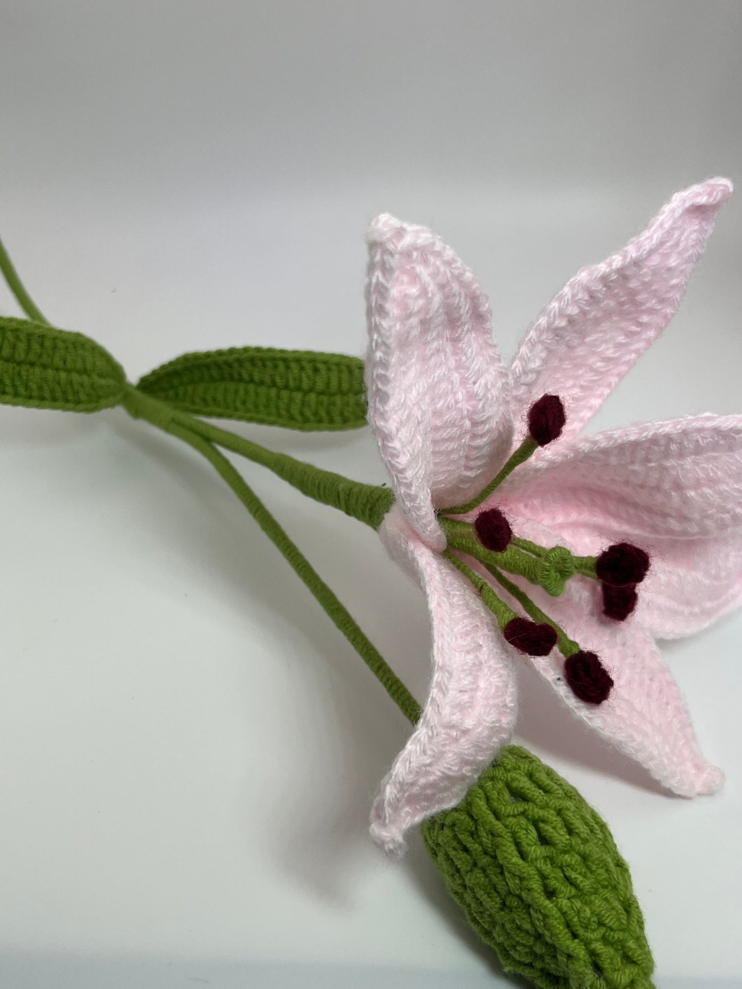 Lily Flower