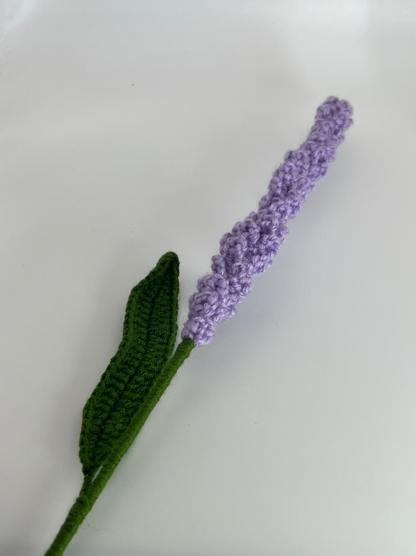 Lavender Flower