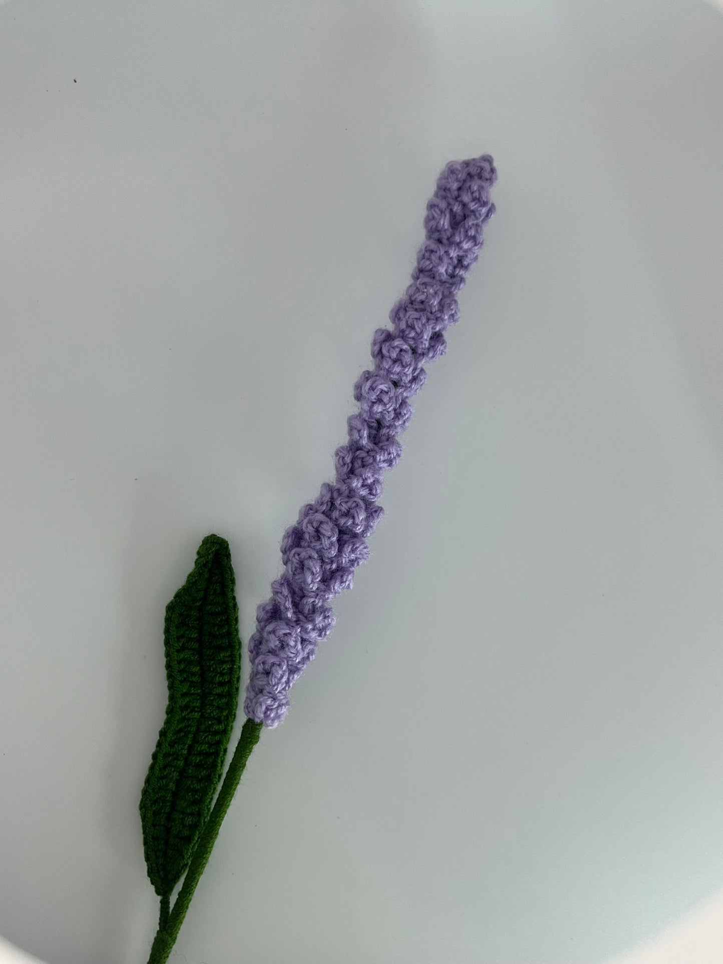 Lavender Flower