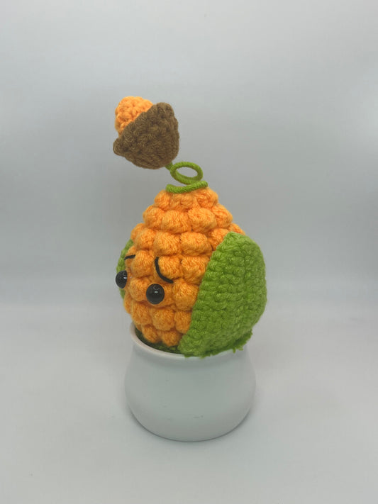 Kernel-Pult PvZ